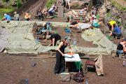 _MG_5365 _MG_5365