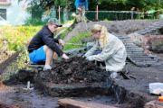 _MG_3931 _MG_3931