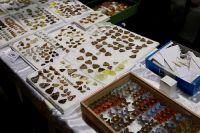 Moscow International Insect Fair — 2016