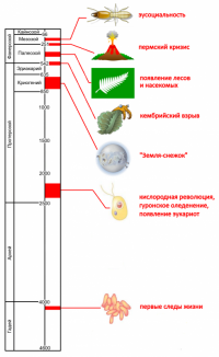 хронология.png хронология.png