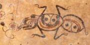 Insect (K2993) Insect (K2993)